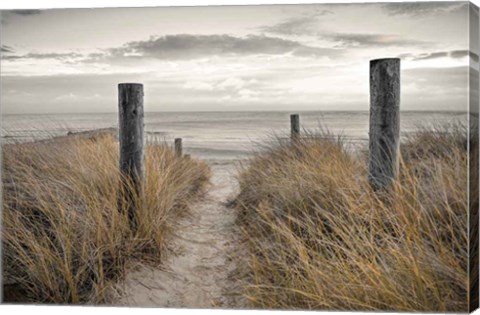 Framed Beach Day Print