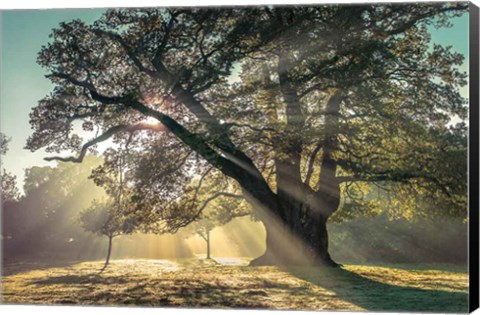 Framed Breaking Through Print