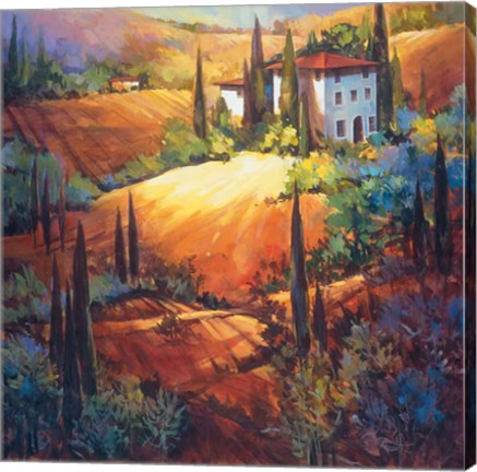 Framed Morning Light Tuscany Print