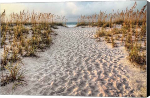 Framed Path To The Beach Print