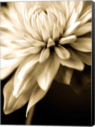 Framed Radiance IV Print