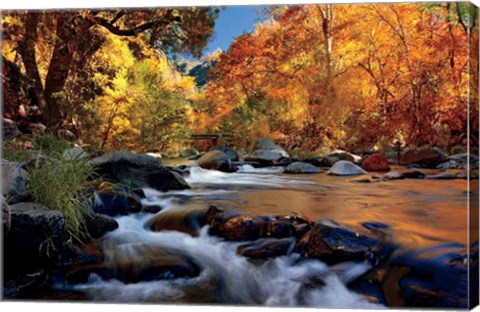 Framed River Of Gold Print