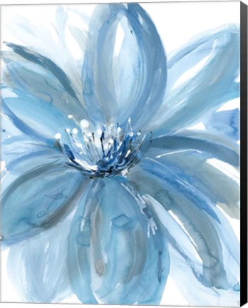 Framed Water Petals Print