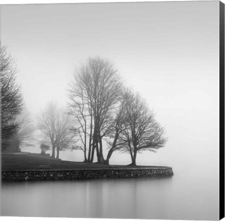 Framed Fog and Trees at Dusk Print