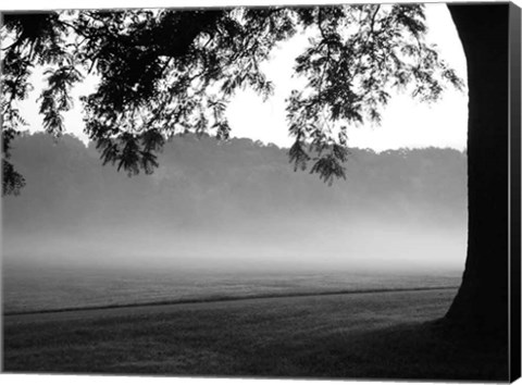 Framed Fog in the Park I Print