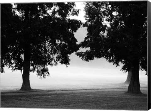 Framed Fog in the Park II Print