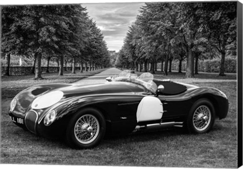 Framed Vintage Roadster in a Park Print