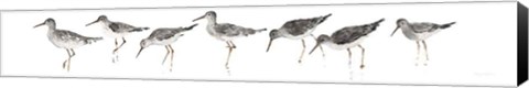 Framed Sandpipers Panel Gray Print