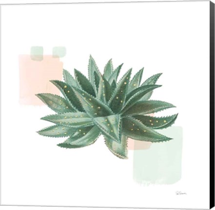 Framed Desert Color Succulent II Mint Print