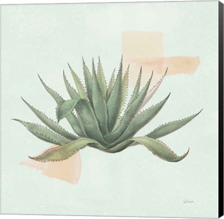 Framed Desert Color Succulent I Mint Print