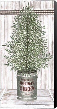 Framed Galvanized Pot Cedar Print