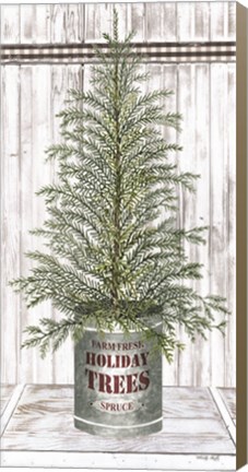 Framed Galvanized Pot Spruce Print