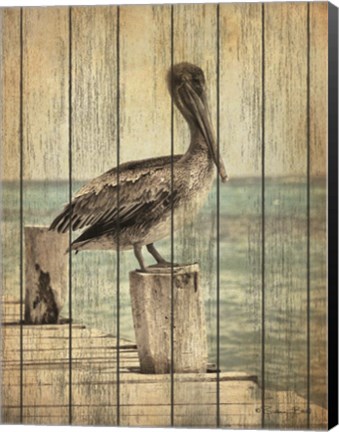 Framed Vintage Pelican I Print