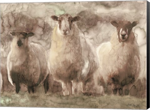Framed Three Sheep Print