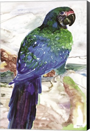 Framed Blue Parrot on Branch 1 Print