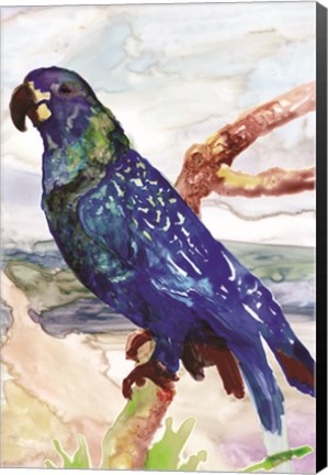 Framed Blue Parrot on Branch 2 Print