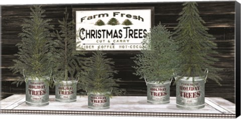 Framed Galvanized Pots Christmas Trees II Print