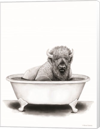 Framed Bison in Tub Print