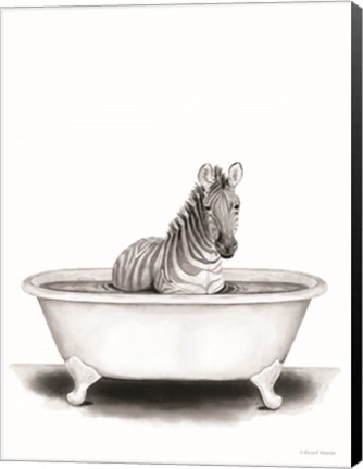 Framed Zebra in Tub Print