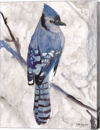 Framed Blue Jay 1 Print
