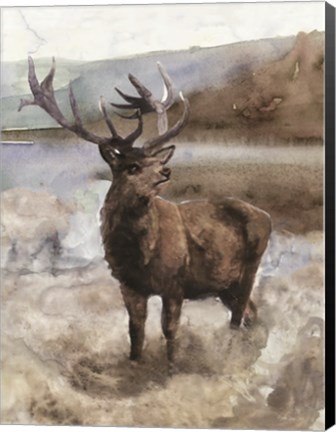 Framed Grand Elk 2 Print