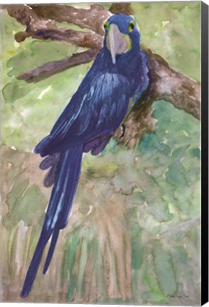 Framed Blue Parrot 1 Print