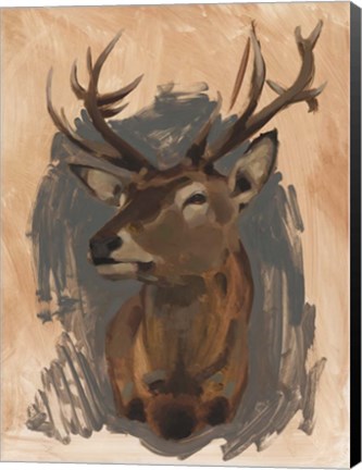 Framed Red Deer Stag II Print