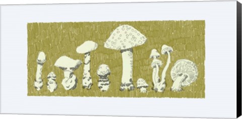 Framed Forest Fungi II Print