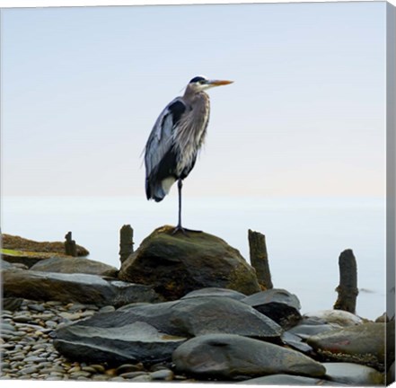 Framed Beachscape Heron I Print