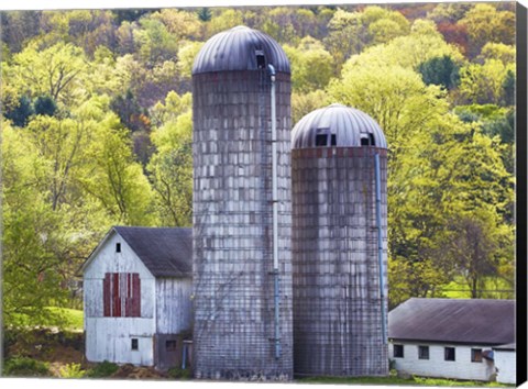 Framed Barn Scene XV Print