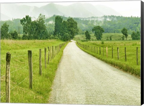 Framed Country Road Photo I Print