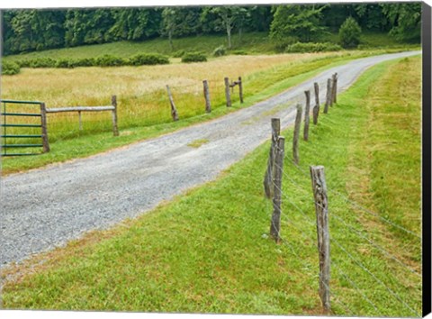 Framed Country Road Photo III Print