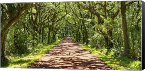 Framed Country Road Photo VII Print