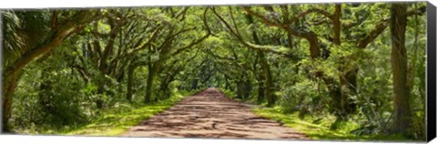 Framed Country Road Panorama IV Print