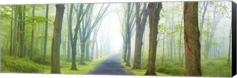 Framed Country Road Panorama V Print