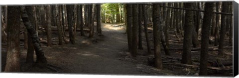 Framed Country Road Panorama VII Print