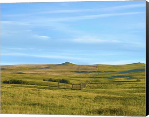 Framed Western Landscape Photo III Print