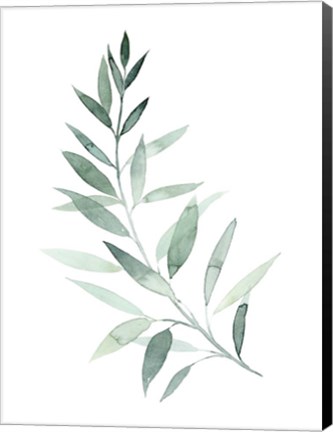 Framed Sea Glass Sprig I Print