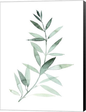 Framed Sea Glass Sprig II Print