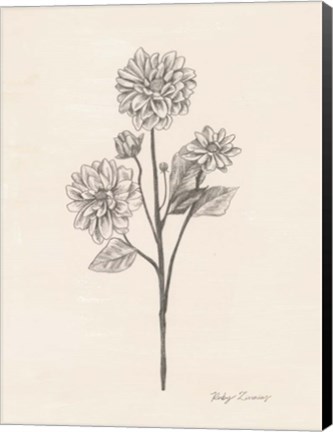 Framed Garden Zinnias II Print