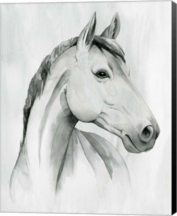 Framed Silver Gelding I Print