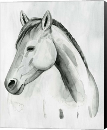 Framed Silver Gelding II Print