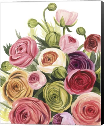 Framed Ranunculus Study I Print