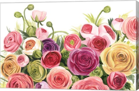 Framed Ranunculus Panorama Print