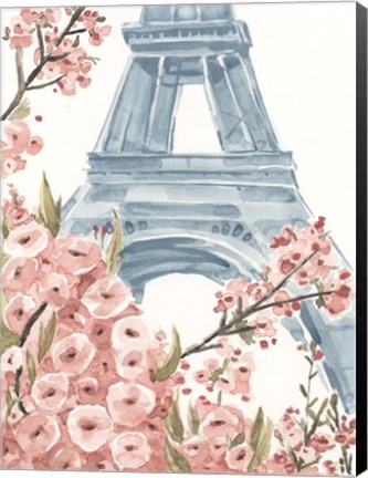 Framed Paris Cherry Blossoms I Print