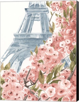 Framed Paris Cherry Blossoms II Print