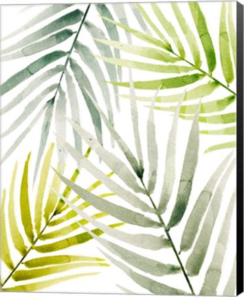 Framed Shady Palm I Print