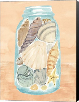 Framed Shell Collecting II Print