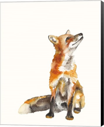 Framed Sly Fox I Print