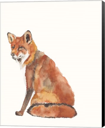 Framed Sly Fox II Print